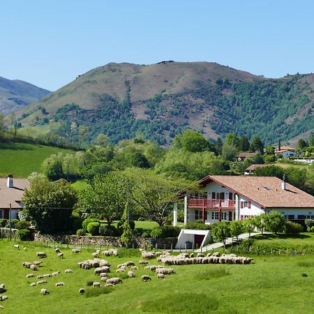Baskoparadis I Eco-Gites I Calme I Vue I Anes I Jardin I Montagne I Nature Louhossoa Εξωτερικό φωτογραφία