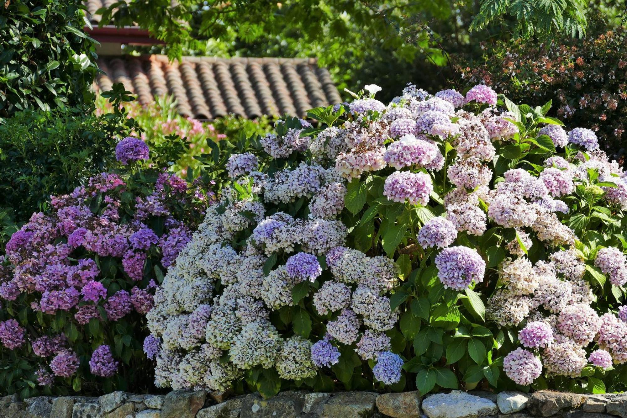 Baskoparadis I Eco-Gites I Calme I Vue I Anes I Jardin I Montagne I Nature Louhossoa Εξωτερικό φωτογραφία