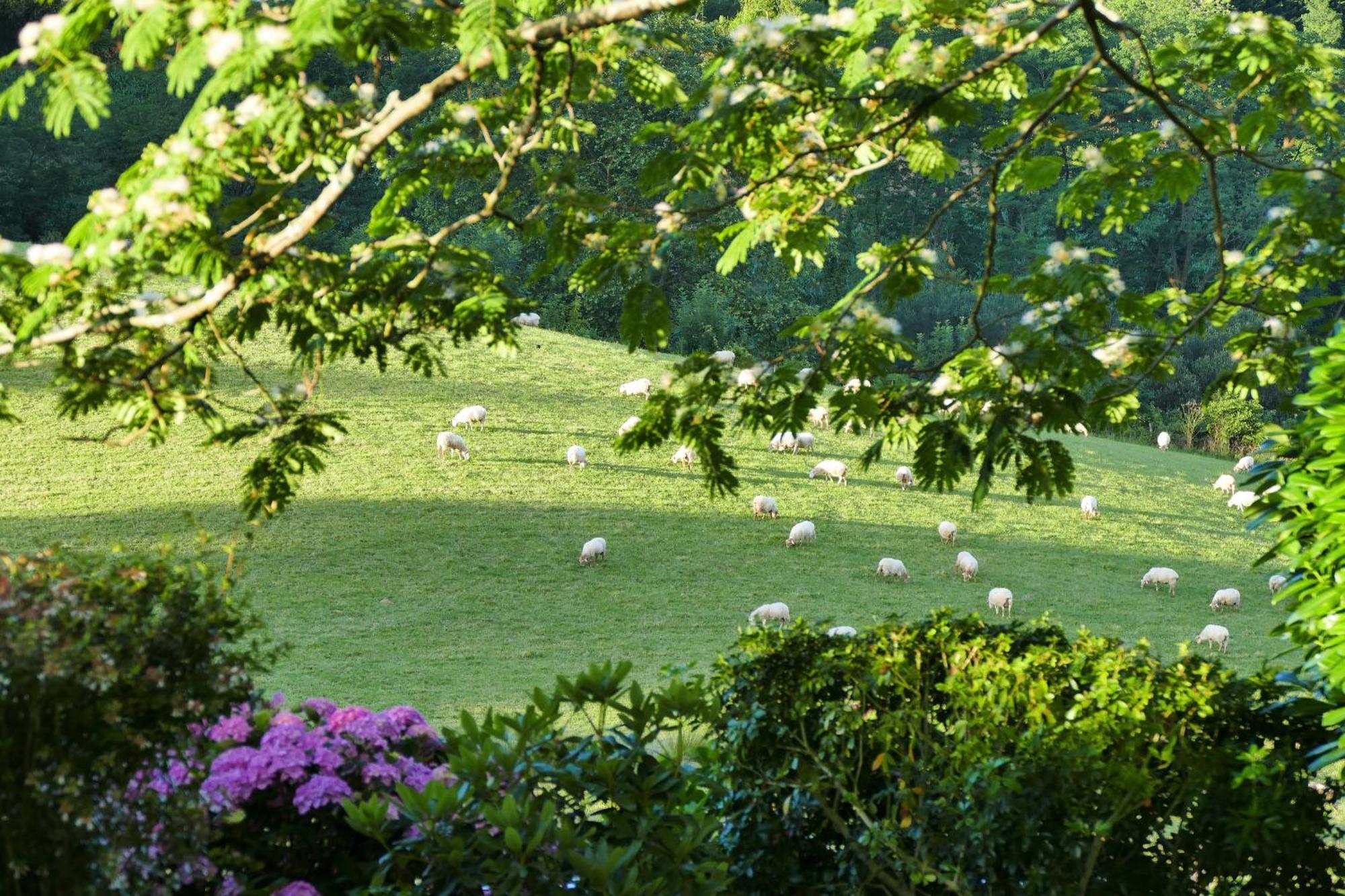Baskoparadis I Eco-Gites I Calme I Vue I Anes I Jardin I Montagne I Nature Louhossoa Εξωτερικό φωτογραφία