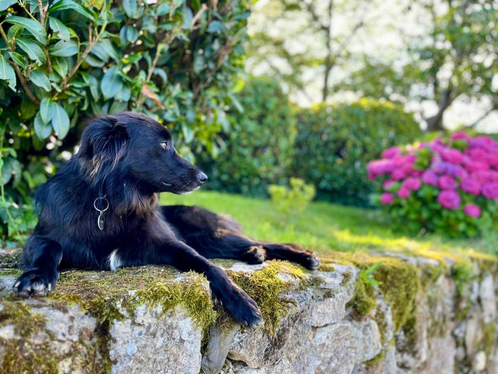 Baskoparadis I Eco-Gites I Calme I Vue I Anes I Jardin I Montagne I Nature Louhossoa Εξωτερικό φωτογραφία