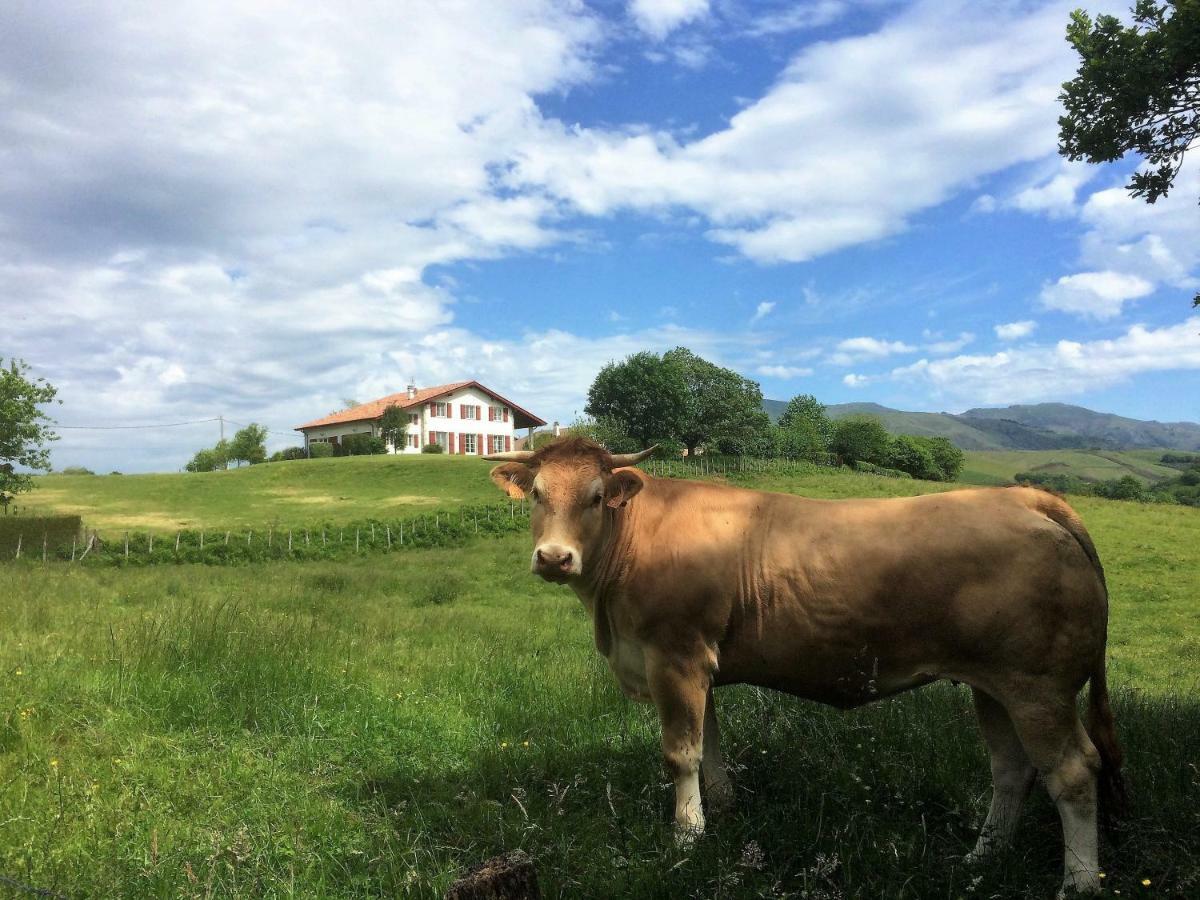 Baskoparadis I Eco-Gites I Calme I Vue I Anes I Jardin I Montagne I Nature Louhossoa Εξωτερικό φωτογραφία