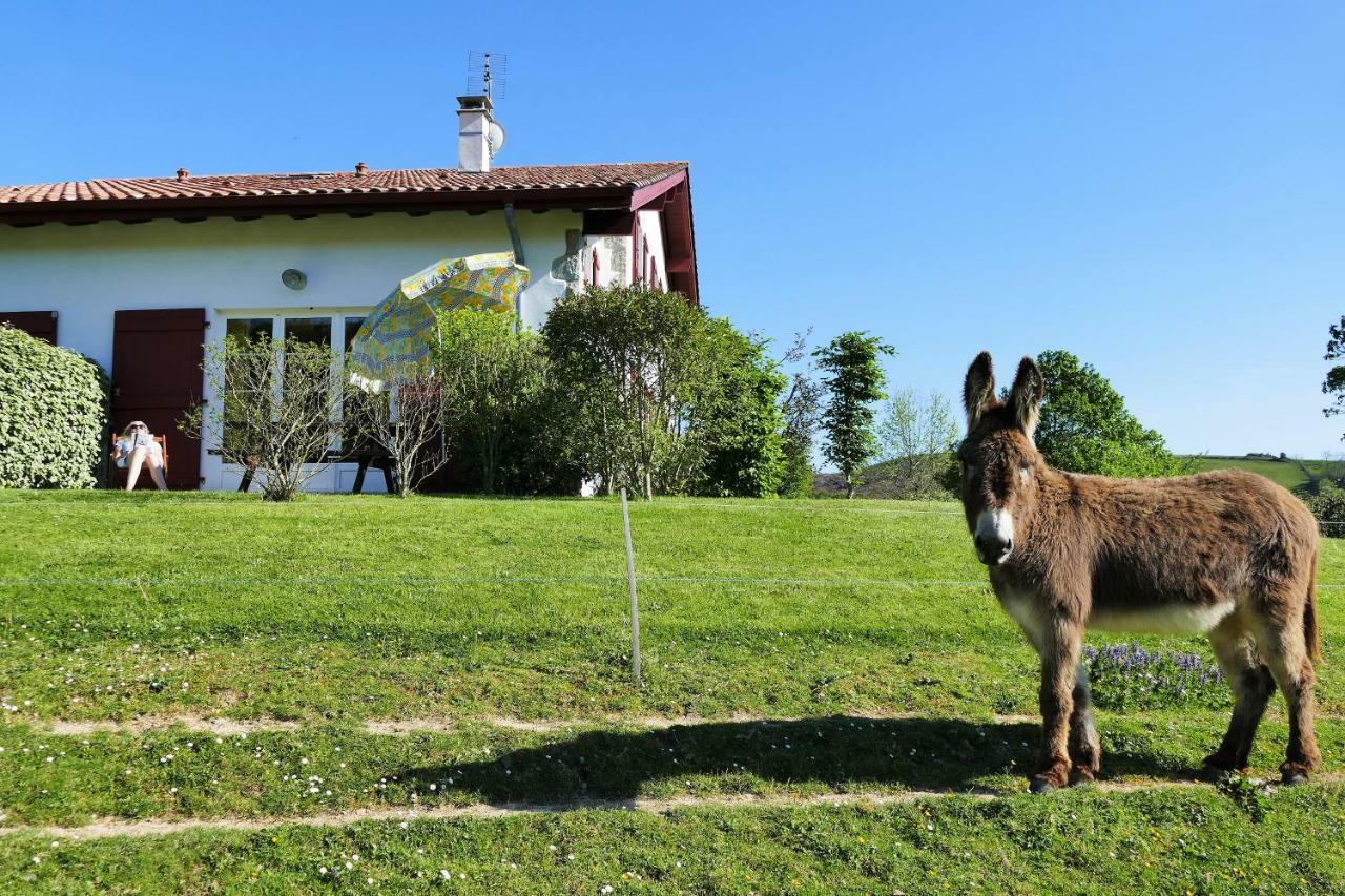 Baskoparadis I Eco-Gites I Calme I Vue I Anes I Jardin I Montagne I Nature Louhossoa Εξωτερικό φωτογραφία