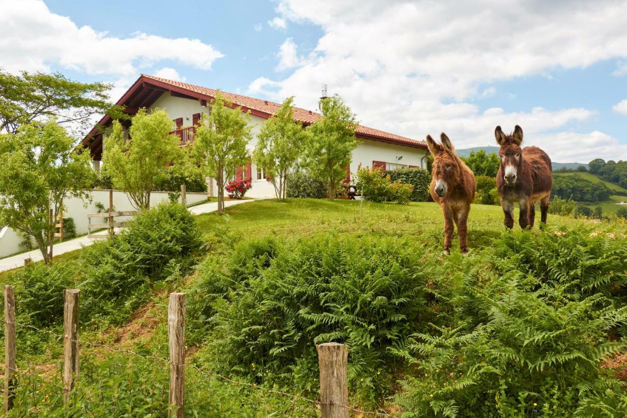 Baskoparadis I Eco-Gites I Calme I Vue I Anes I Jardin I Montagne I Nature Louhossoa Εξωτερικό φωτογραφία